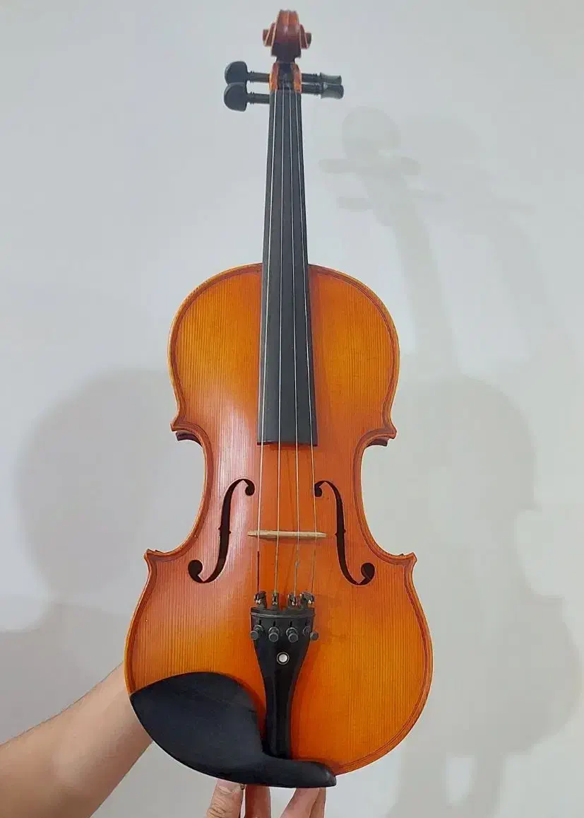 ویولن دست ساز|ویولن|شیراز, نارنجستان|دیوار