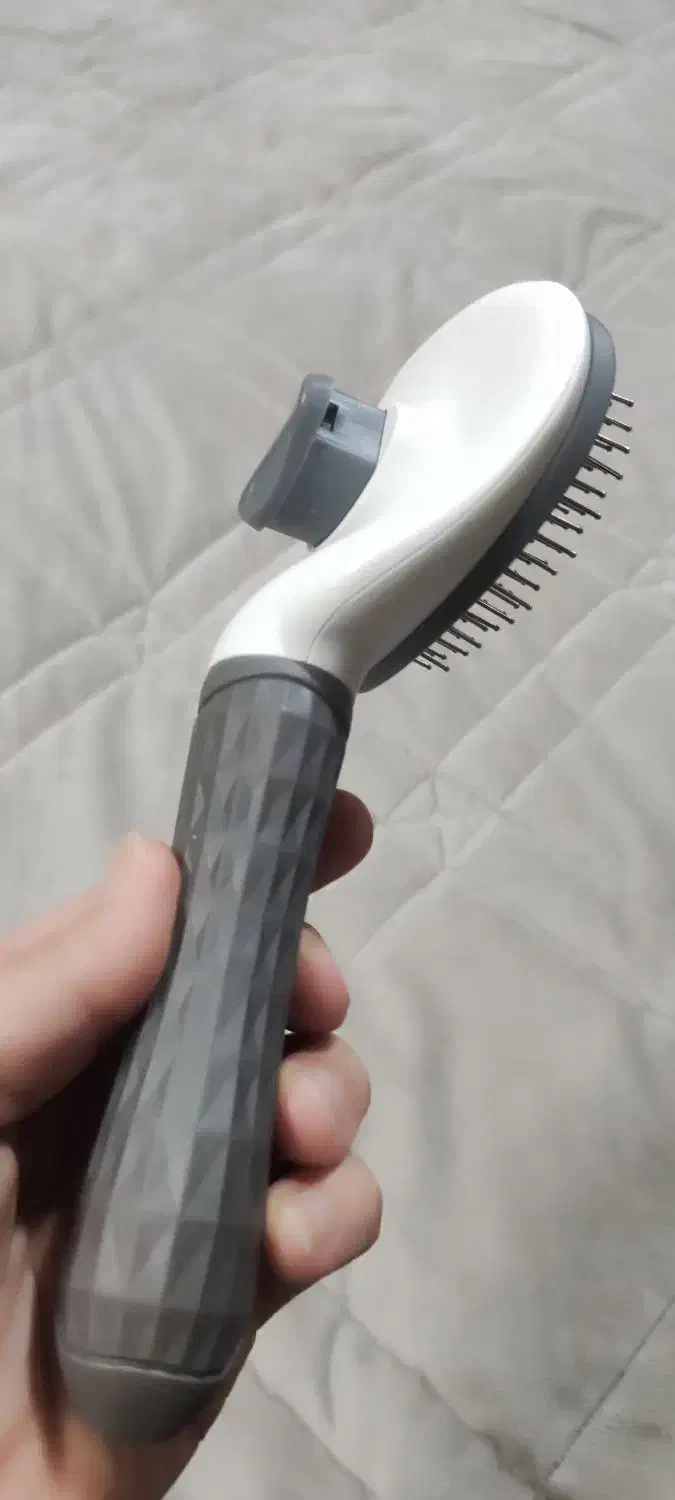 وسایل گربه|لوازم جانبی حیوانات|مشهد, دانشجو|دیوار