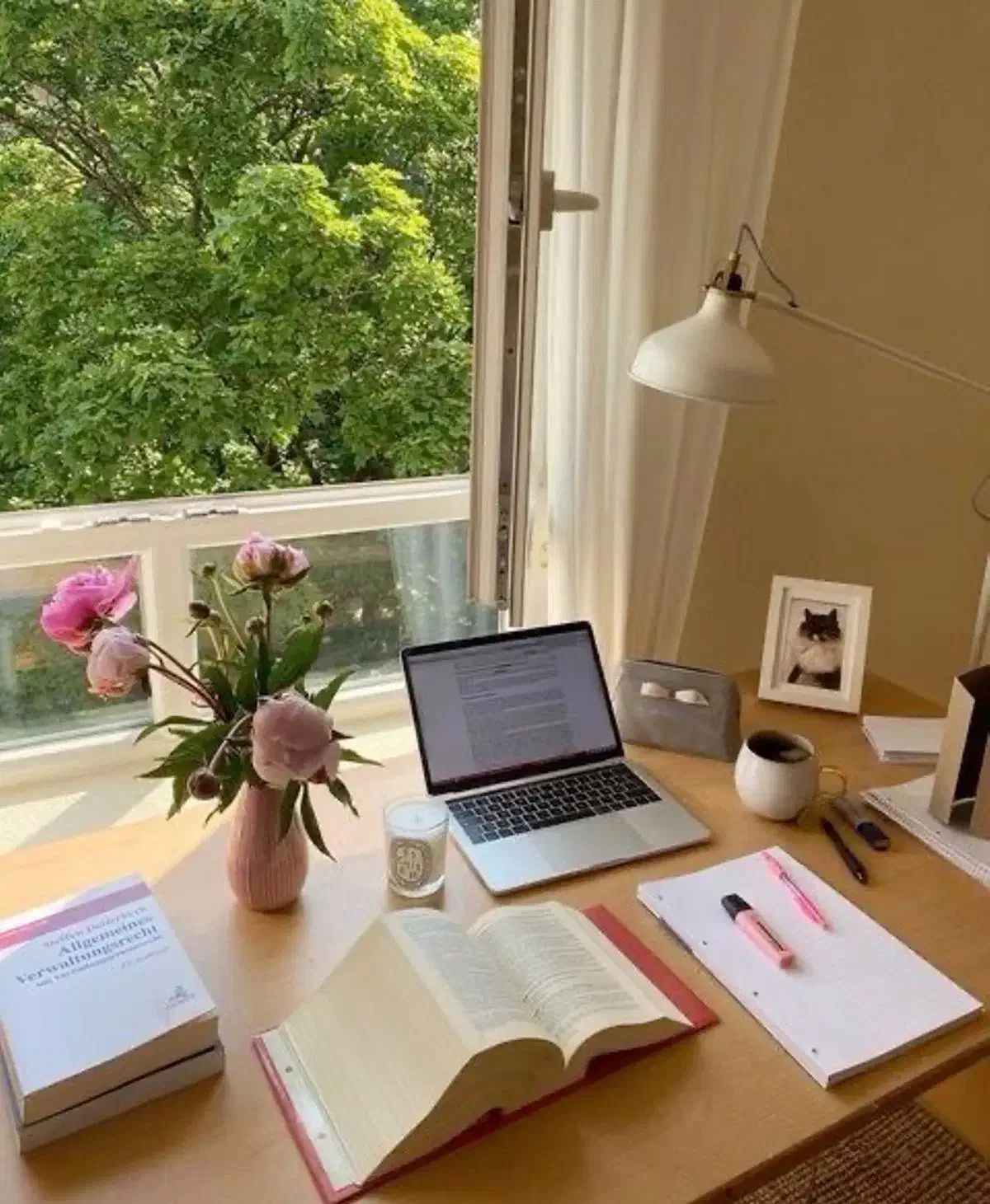 شغل غیرحضوری ماهی سی|استخدام رایانه و فناوری اطلاعات|کرمان, |دیوار