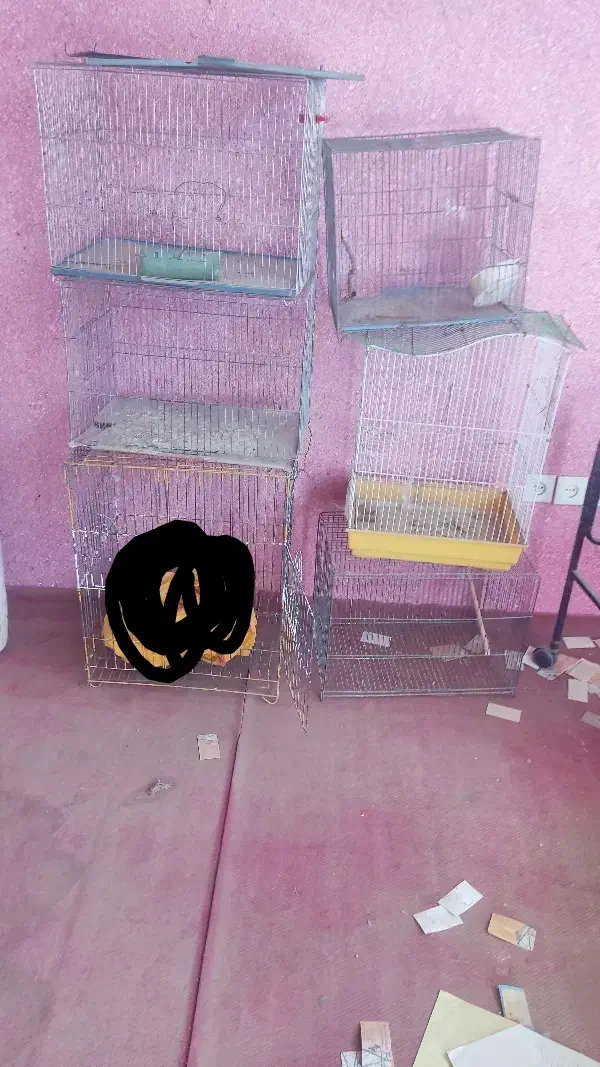 قفس پرنده|لوازم جانبی حیوانات|یزد, |دیوار