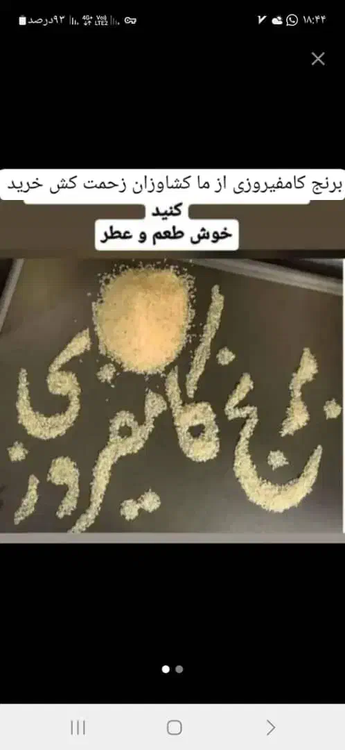 ۵۰۰کیلوبرنج کامفیروزی درجه یک|خوردنی و آشامیدنی|کامفیروز, |دیوار