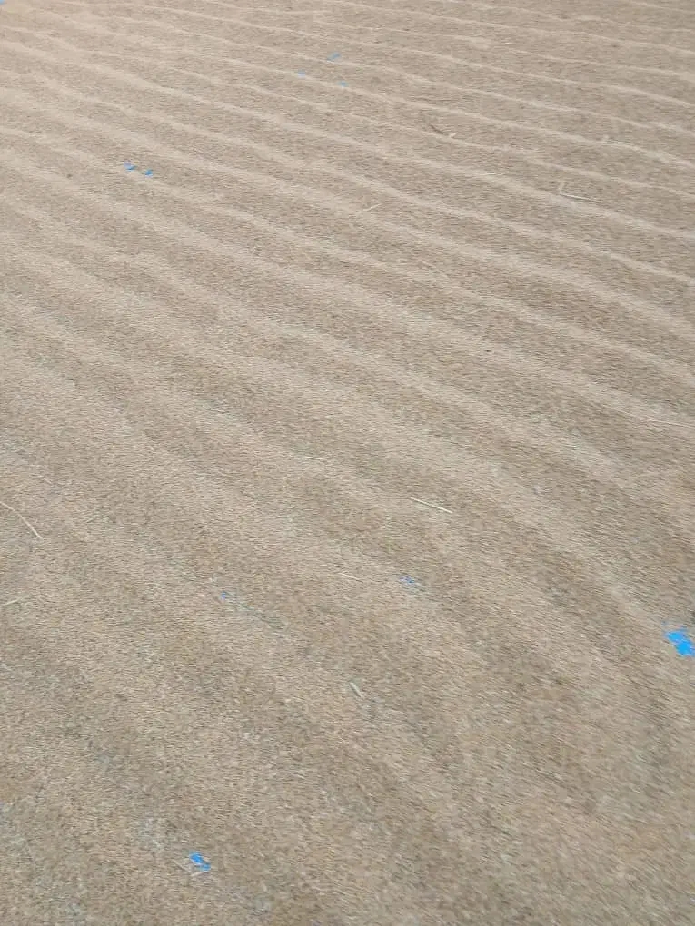 فروش جلتوک|خوردنی و آشامیدنی|فیروزآباد (فارس), |دیوار