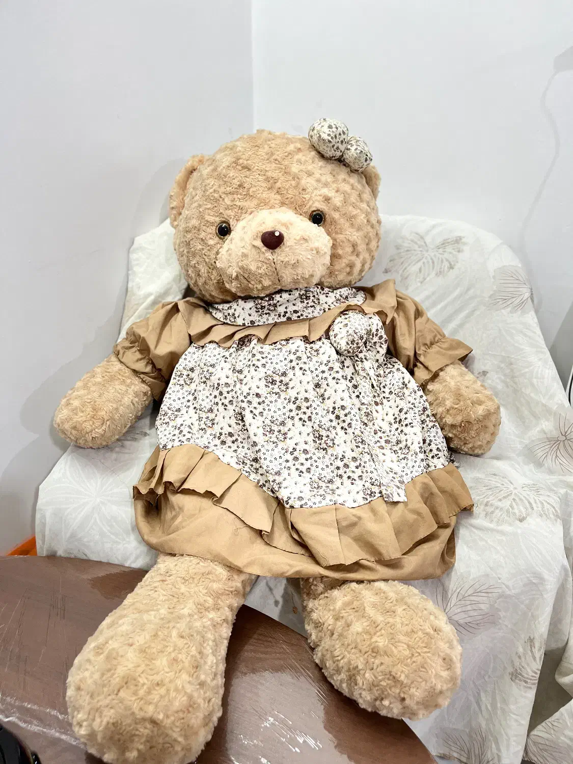 خرس تدی اصل|اسباب‌‌بازی|مشهد, هنرستان|دیوار