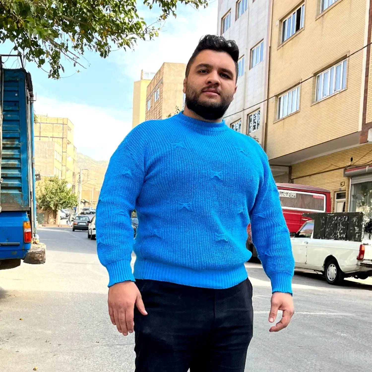 نقاشی ساختمان و نقاش ساختمانی تمام نقاط تهران|خدمات پیشه و مهارت|تهران, درختی|دیوار