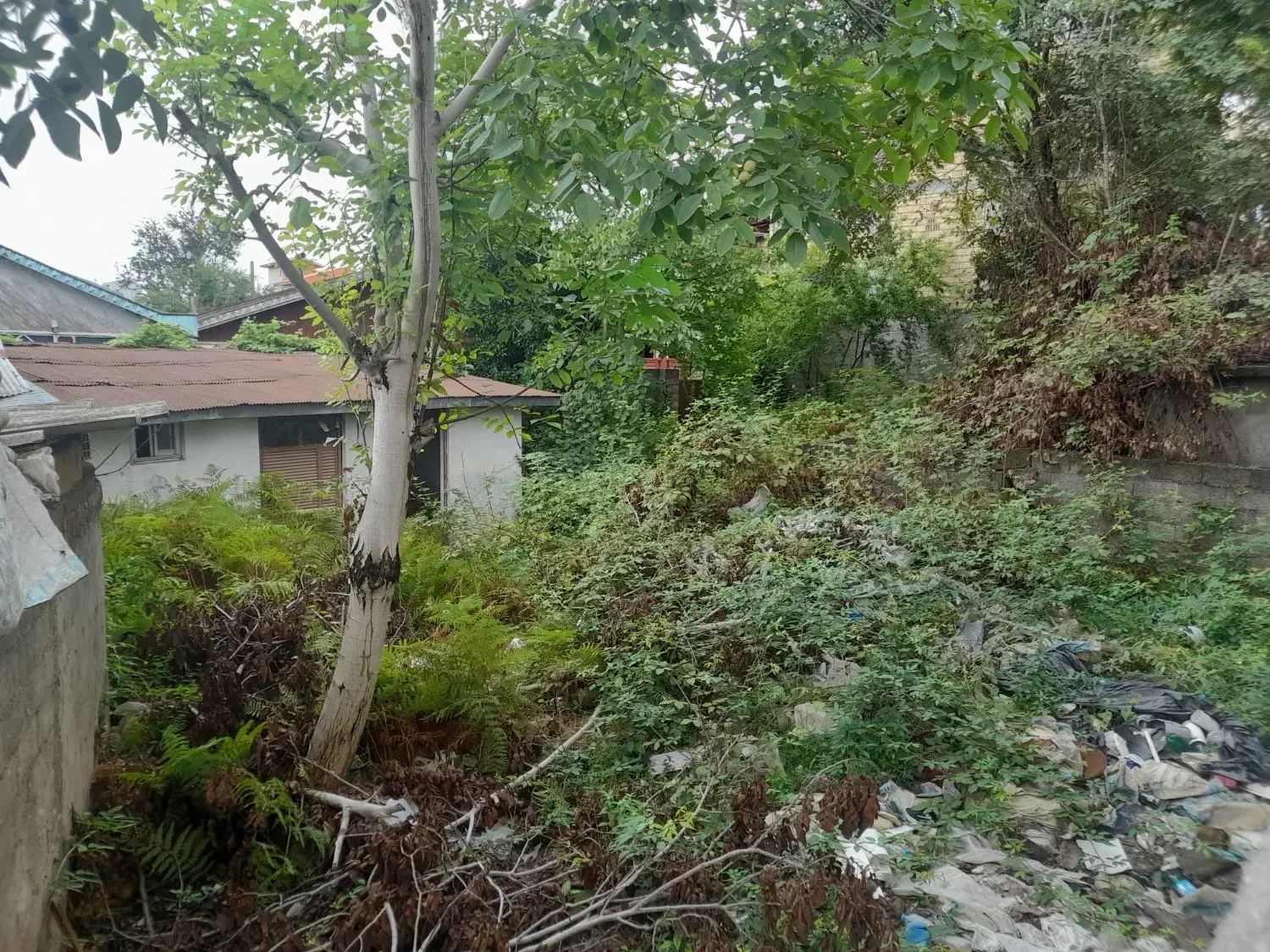 زمین ۲۵۰متر سندتکبرگ شهری خیابان نواب|فروش زمین و ملک کلنگی|خشکبیجار, |دیوار