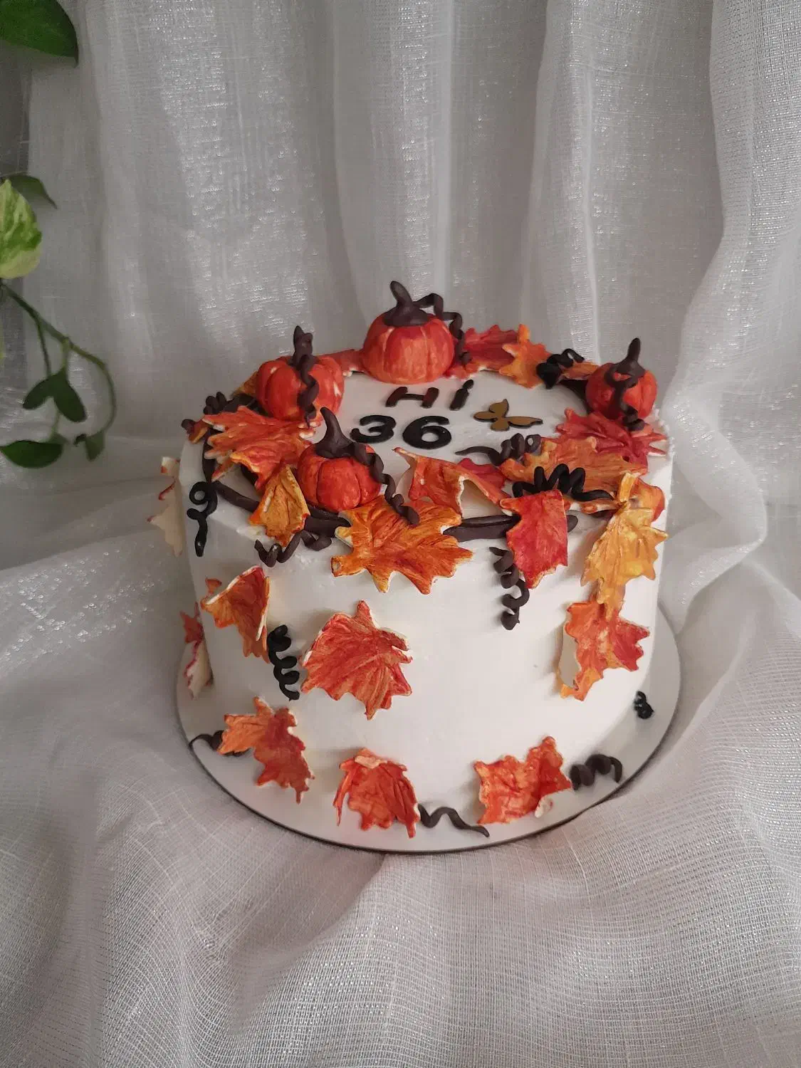 کیک تولد و یلدا|خدمات پذیرایی، مراسم|سنندج, |دیوار