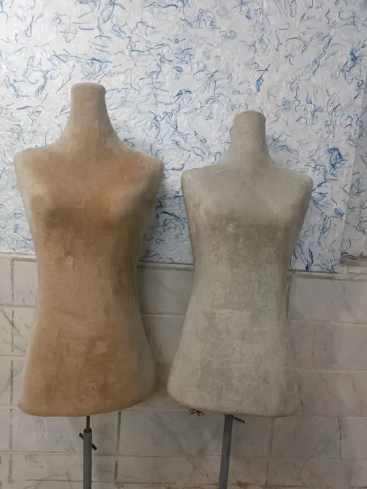 قفسه و رگال|کتابخانه، شلف، قفسه‌های دیواری|قم, صفاشهر|دیوار