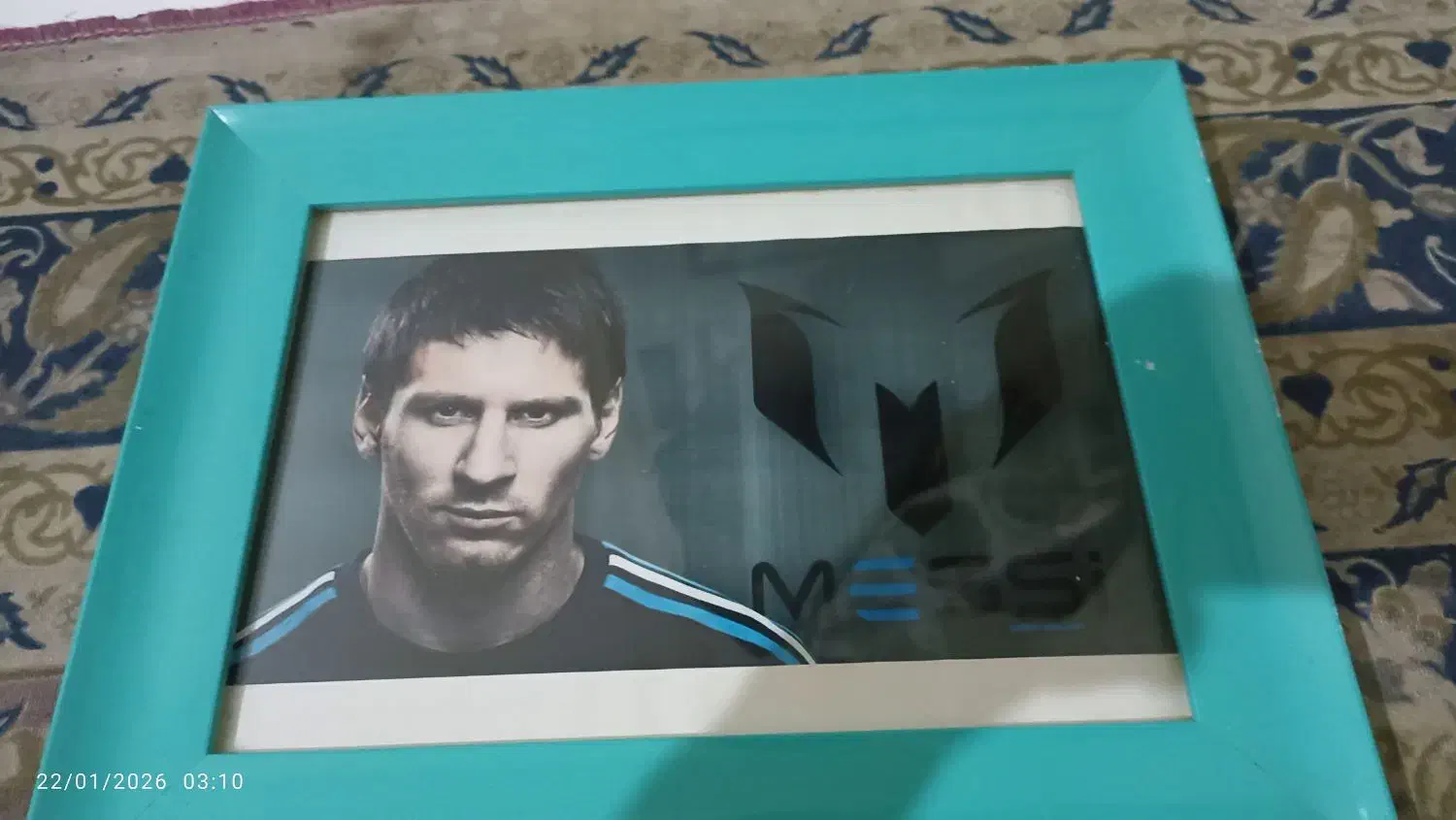 تابلو دیواری|تابلو، نقاشی، عکس|تهران, باغ خزانه|دیوار