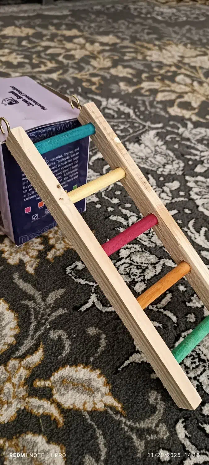 دون خوری و نردبان پرنده|لوازم جانبی حیوانات|قم, چهار مردان|دیوار