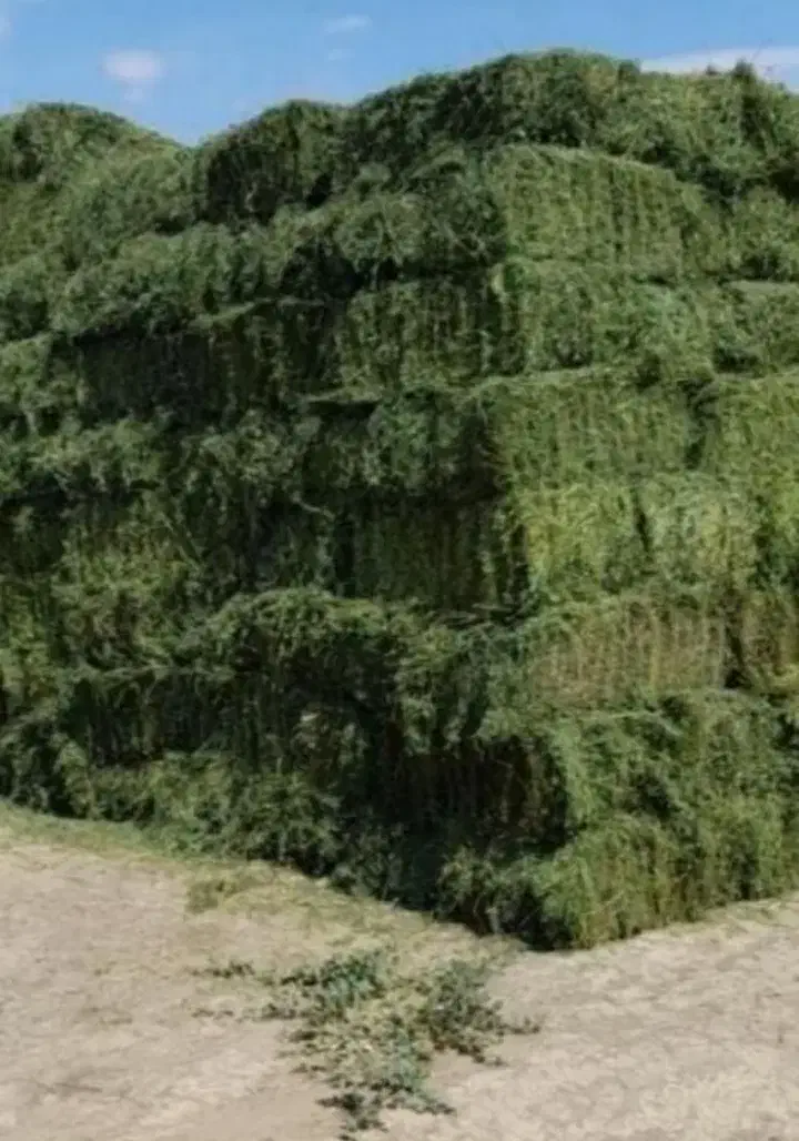 یونجه|لوازم جانبی حیوانات|نهاوند, |دیوار