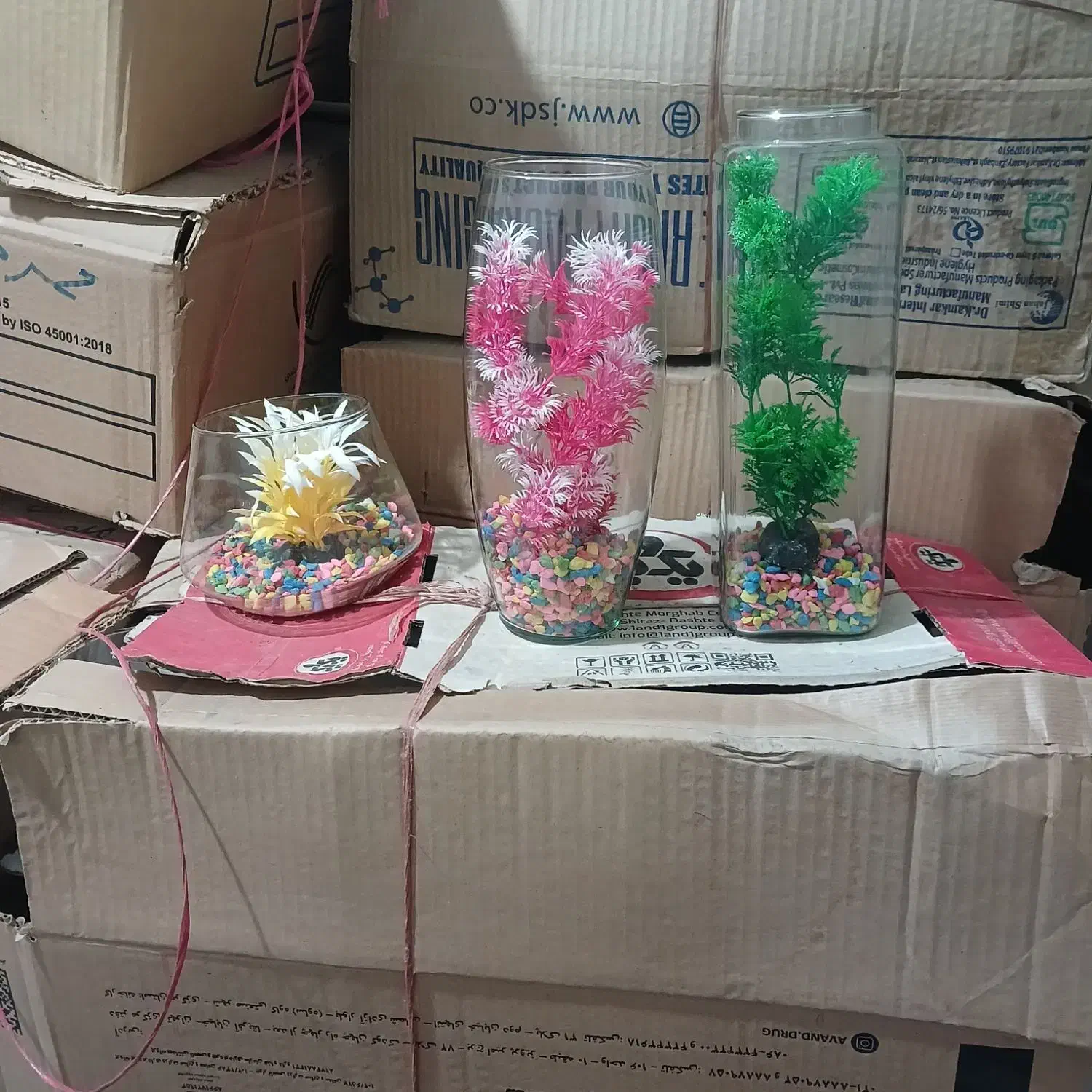 تنگ ماهی|ماهی|محمدشهر, یزدیها|دیوار