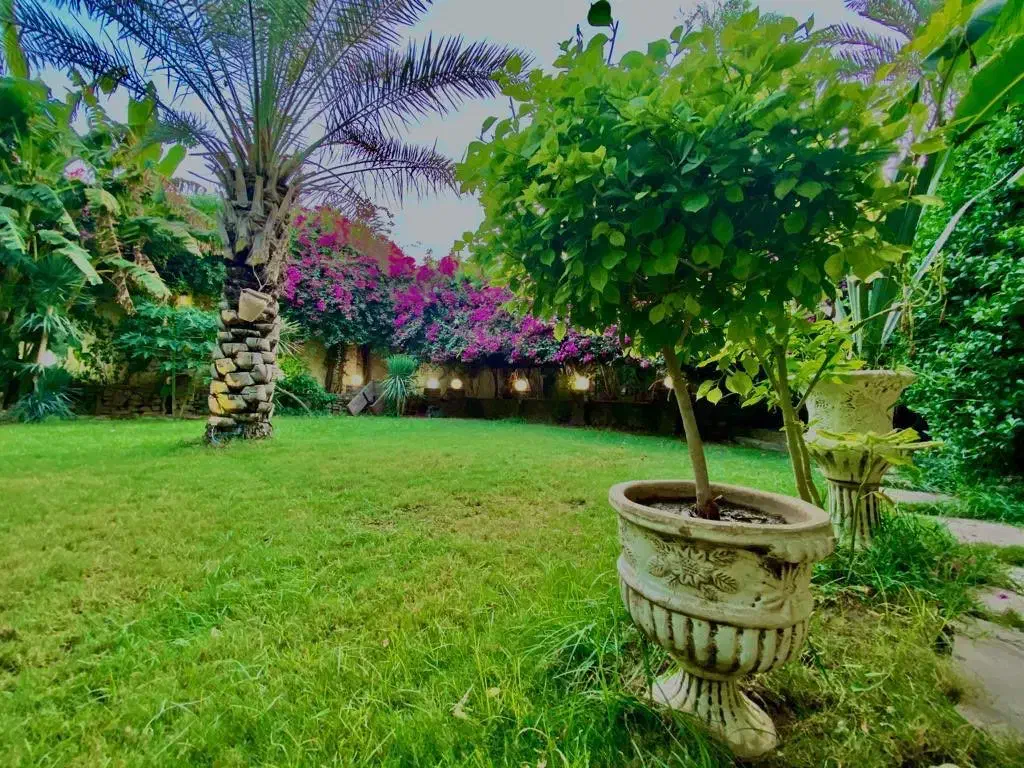 اجاره انواع لوکس ترین ویلاهای دزفول|اجارهٔ کوتاهمدت ویلا و باغ|دزفول, |دیوار