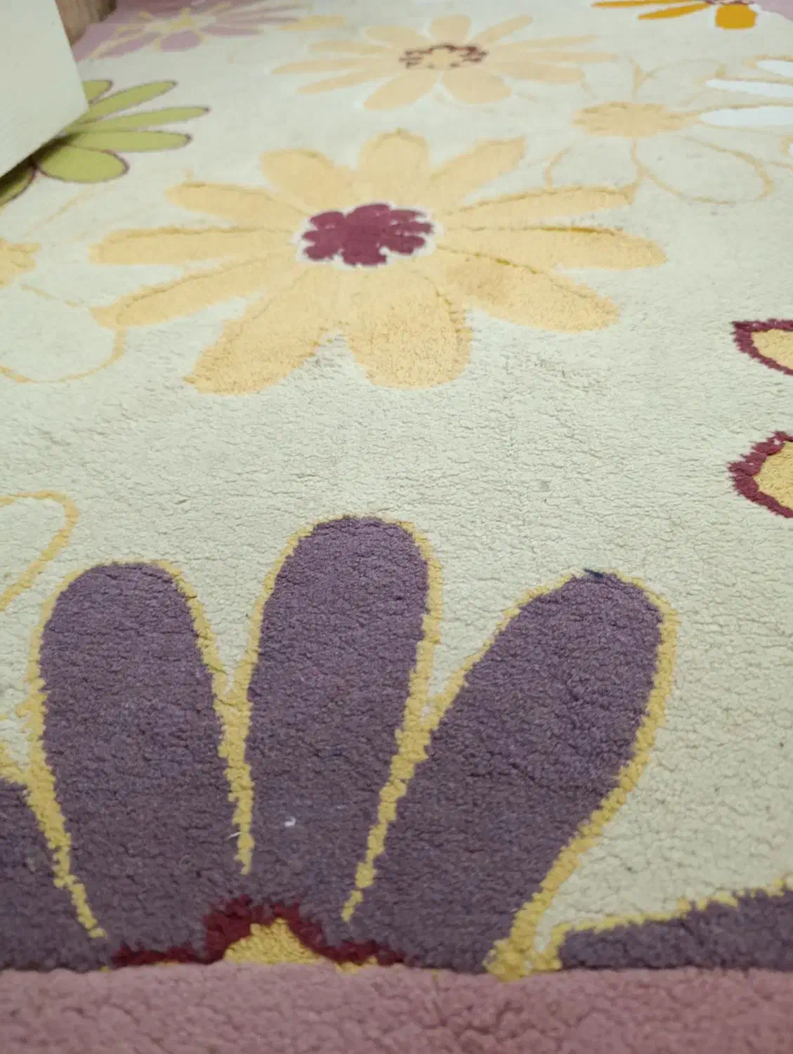 فرش|فرش|قرچک, باقرآباد|دیوار