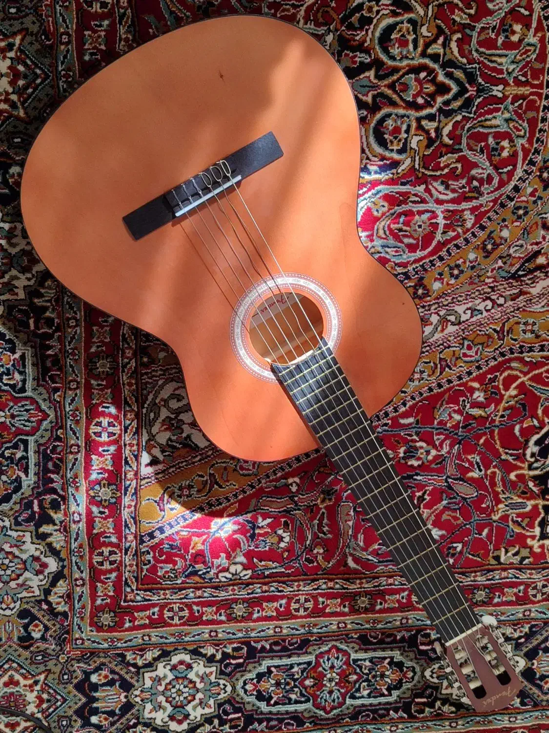 گیتار|گیتار، بیس، امپلیفایر|اراک, |دیوار