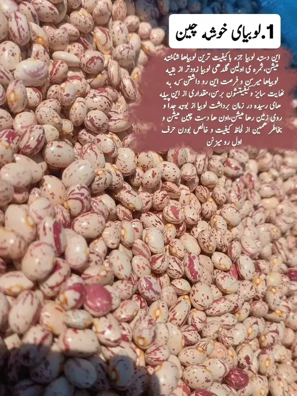 لوبیای دست چین سرحداقلید|خوردنی و آشامیدنی|سپیدان, |دیوار