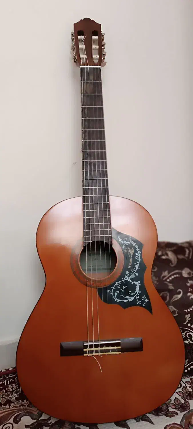 گیتار c40|گیتار، بیس، امپلیفایر|پیشوا, |دیوار