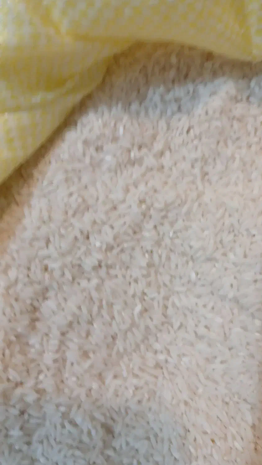 برنج درشت و درجه یک علی کاظمی شمال|خوردنی و آشامیدنی|قزوین, |دیوار