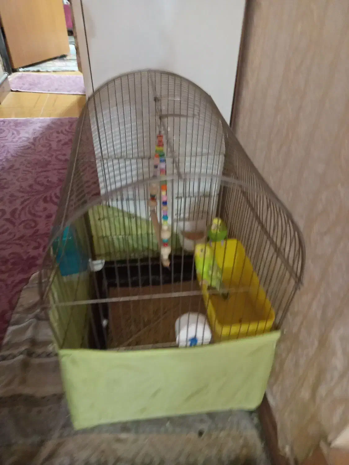 قفس|لوازم جانبی حیوانات|باقرشهر, |دیوار