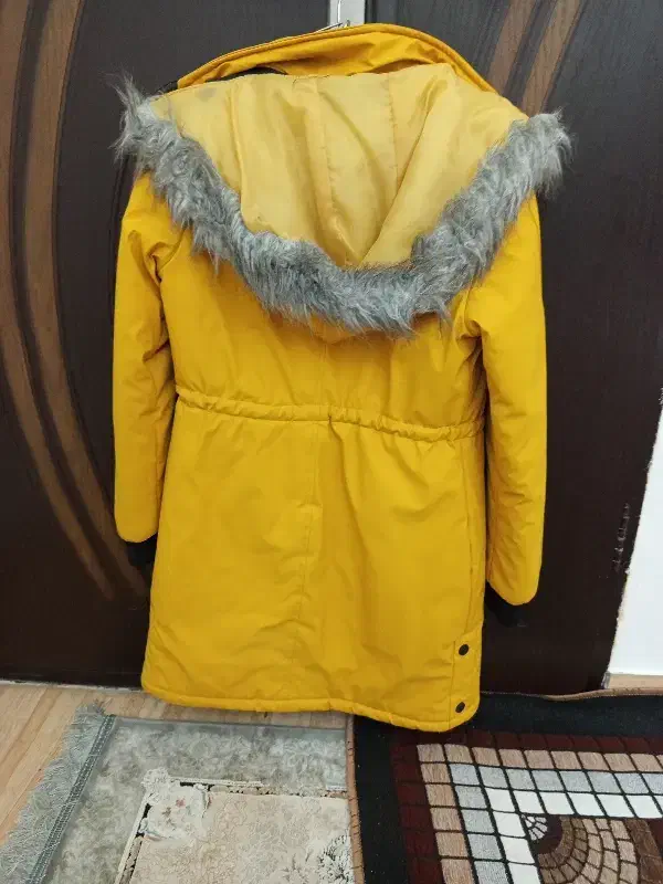 پالتو زنانه|لباس|پارسآباد, |دیوار