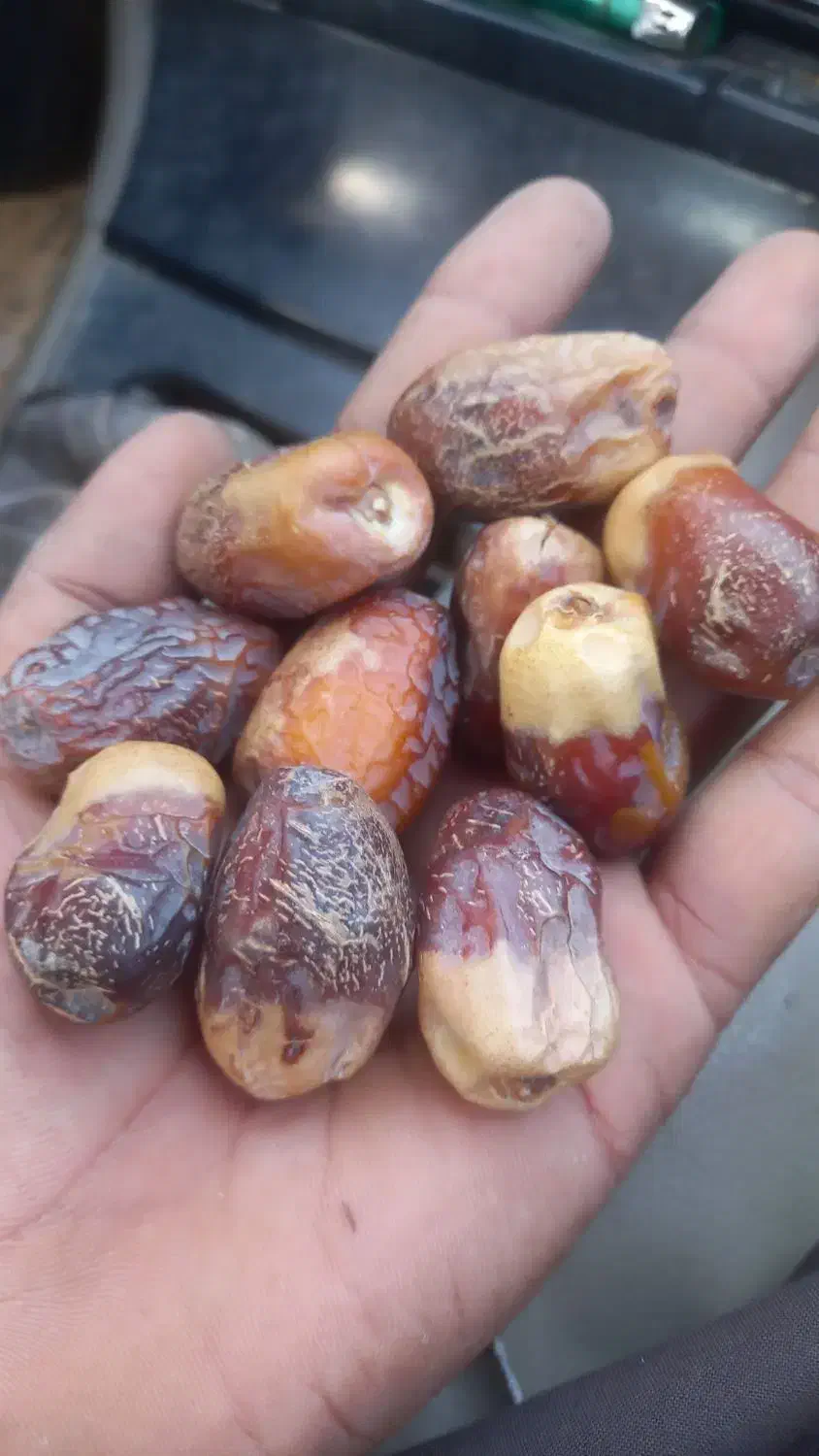 فتگگرنکتو پیمازو و بادلمی مضافتی|عمده‌فروشی|جالق, |دیوار