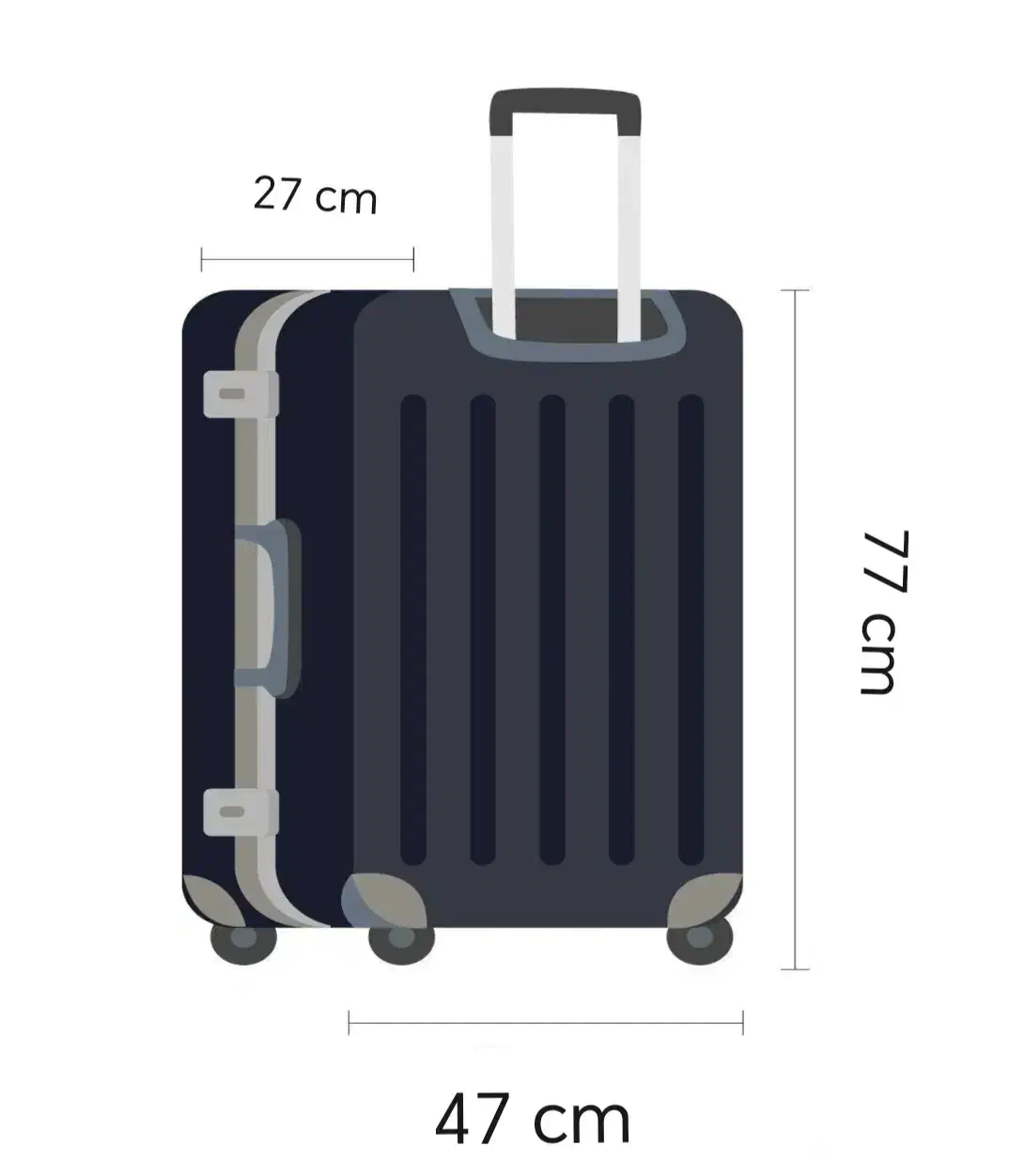چمدان|کیف، کفش، کمربند|قم, چهل درخت‎|دیوار