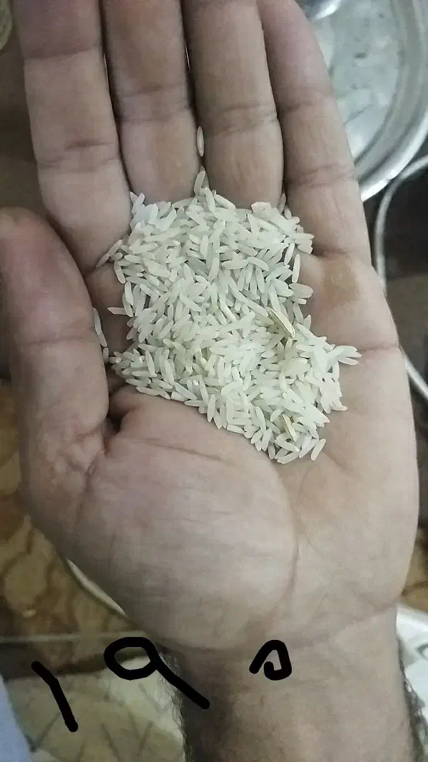 سوزنی خوش عطر بشرط|خوردنی و آشامیدنی|آزادشهر, |دیوار