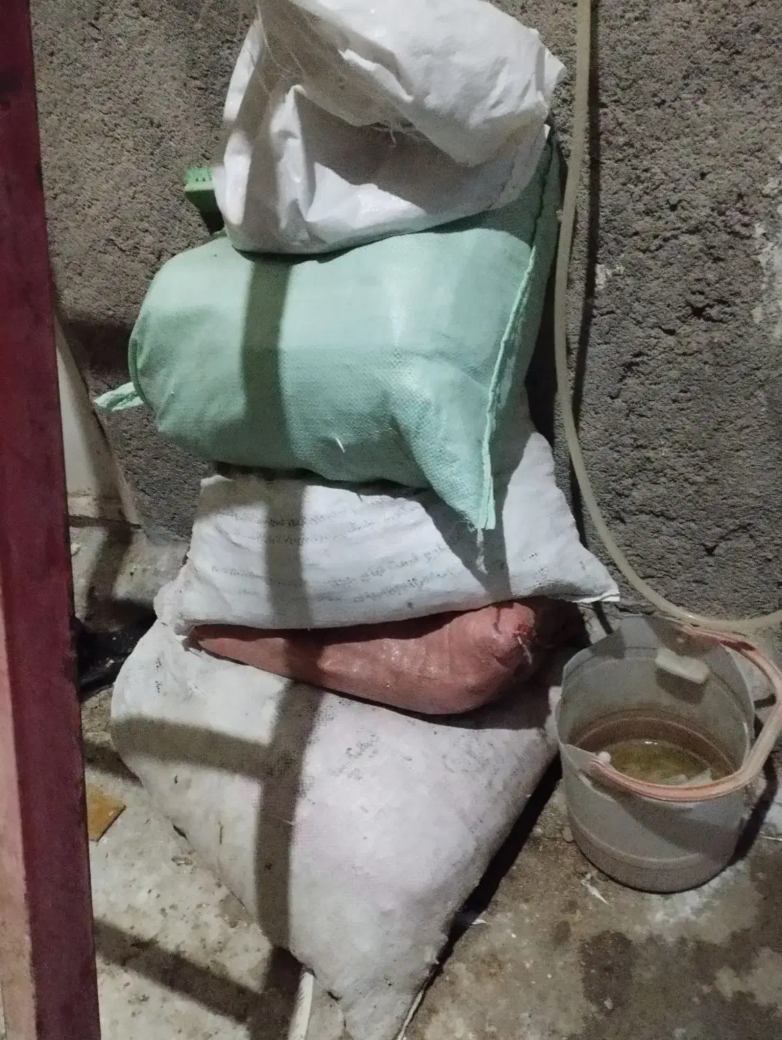 کود کفتر|لوازم جانبی حیوانات|مشهد, کارمندان دوم|دیوار