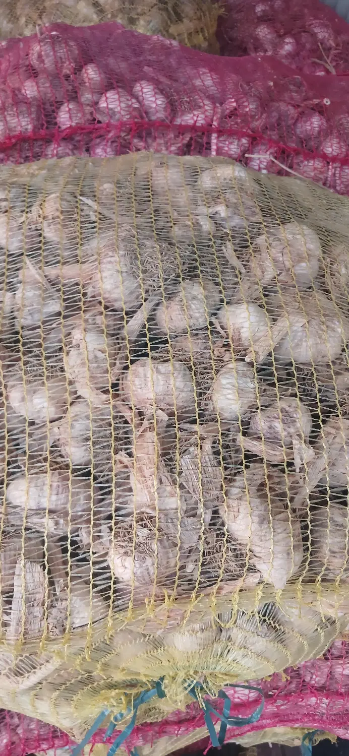 سیرخشک|خوردنی و آشامیدنی|اردبیل, |دیوار