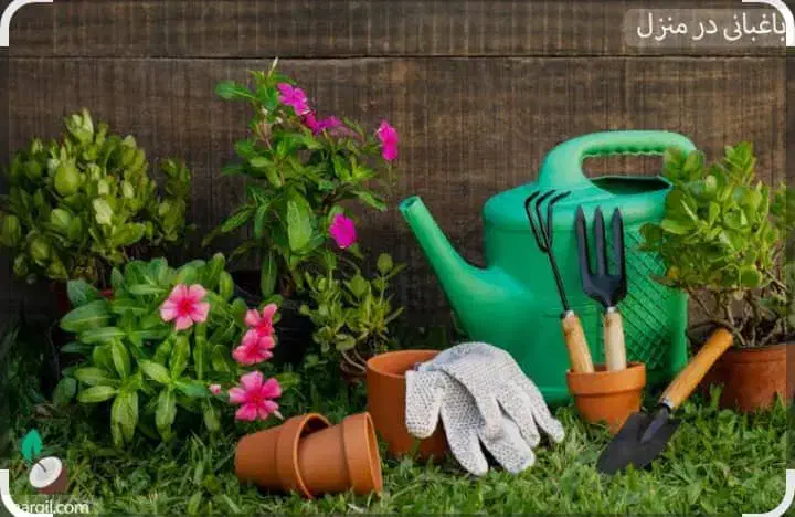 نظافت منزل و باغبانی|خدمات نظافت|رامسر, |دیوار