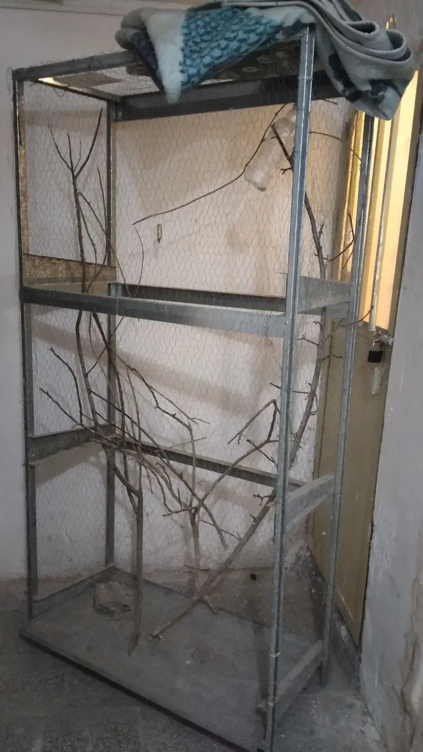 123|لوازم جانبی حیوانات|تربتحیدریه, شهرک ولیعصر|دیوار