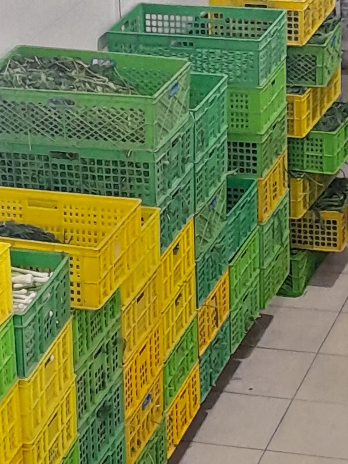 سبزیجات خرد شده|خوردنی و آشامیدنی|کرج, احدآباد|دیوار