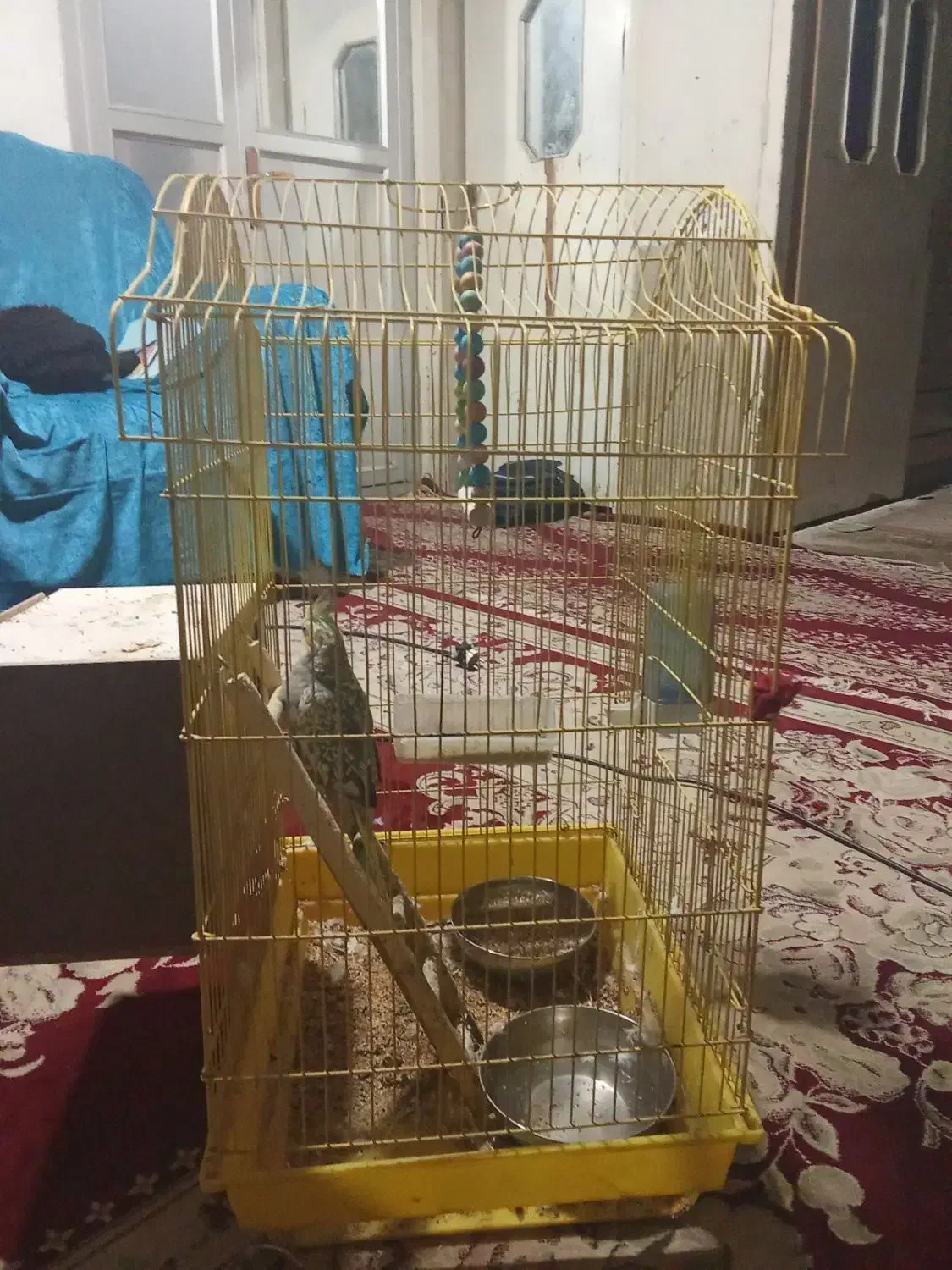 قفس|لوازم جانبی حیوانات|خرم بید, |دیوار