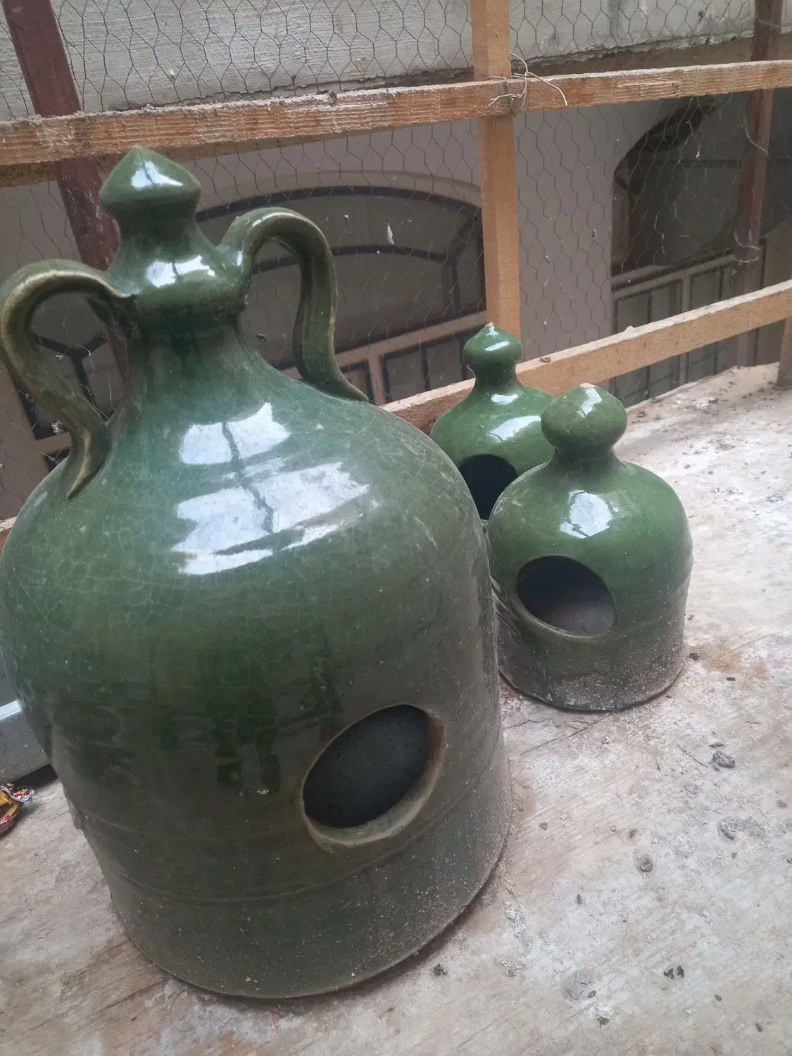 کفتر|لوازم جانبی حیوانات|قم, شهر قائم|دیوار