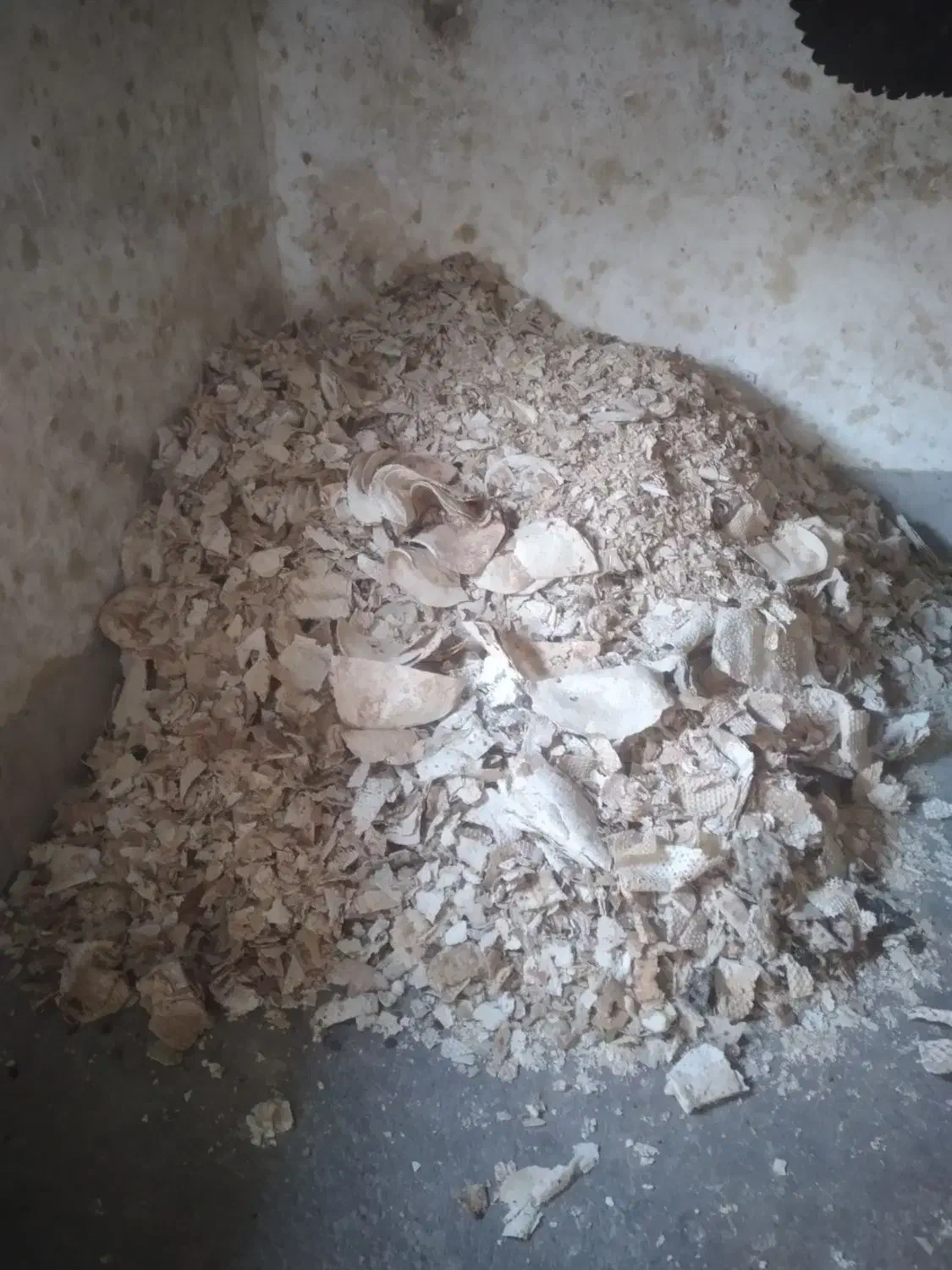 خریدار ضایعات|خدمات پیشه و مهارت|شوش, |دیوار