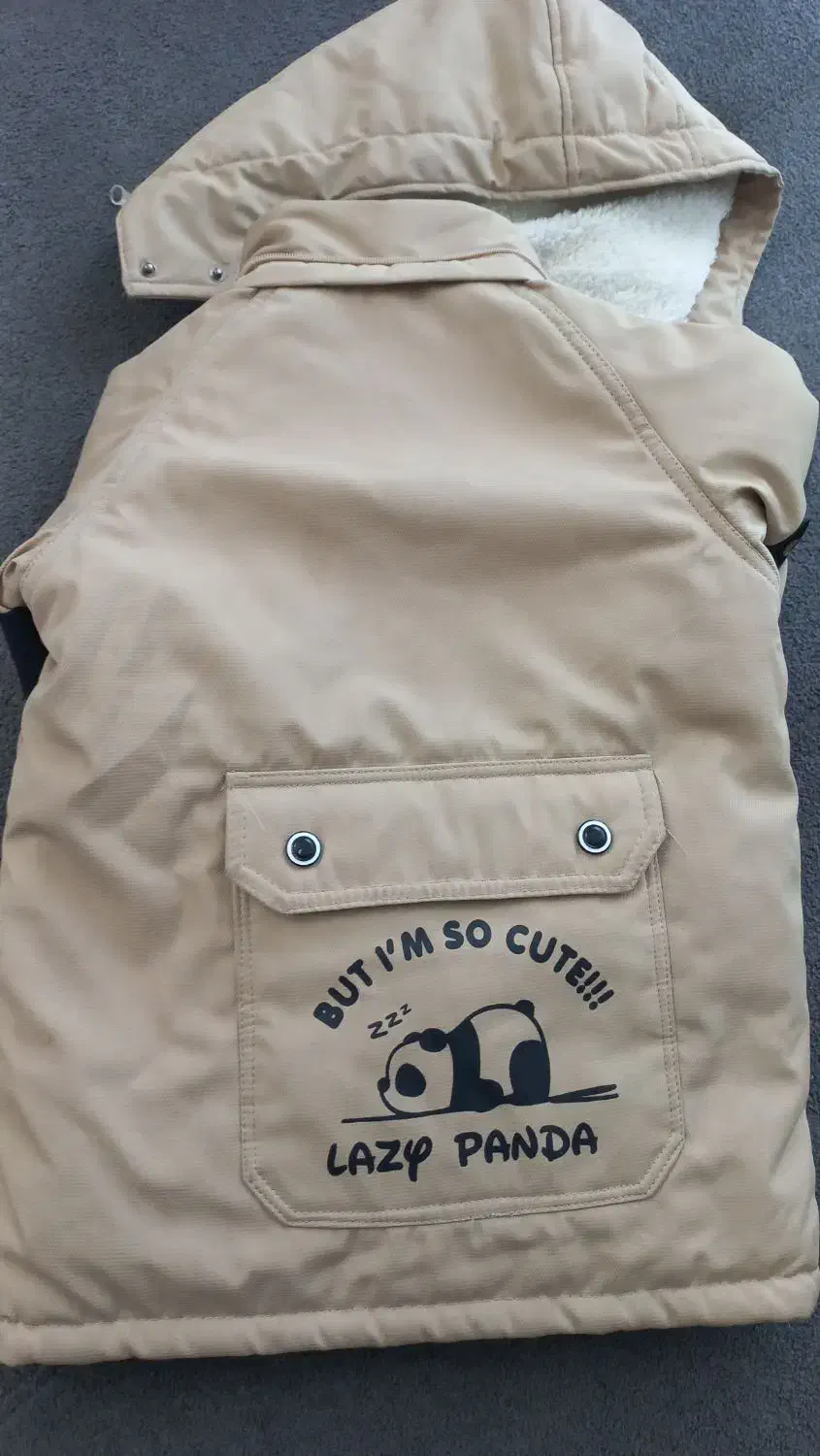 کاپشن تدی گرم نونو|لباس|فولادشهر, مسکن مهر فولادشهر|دیوار