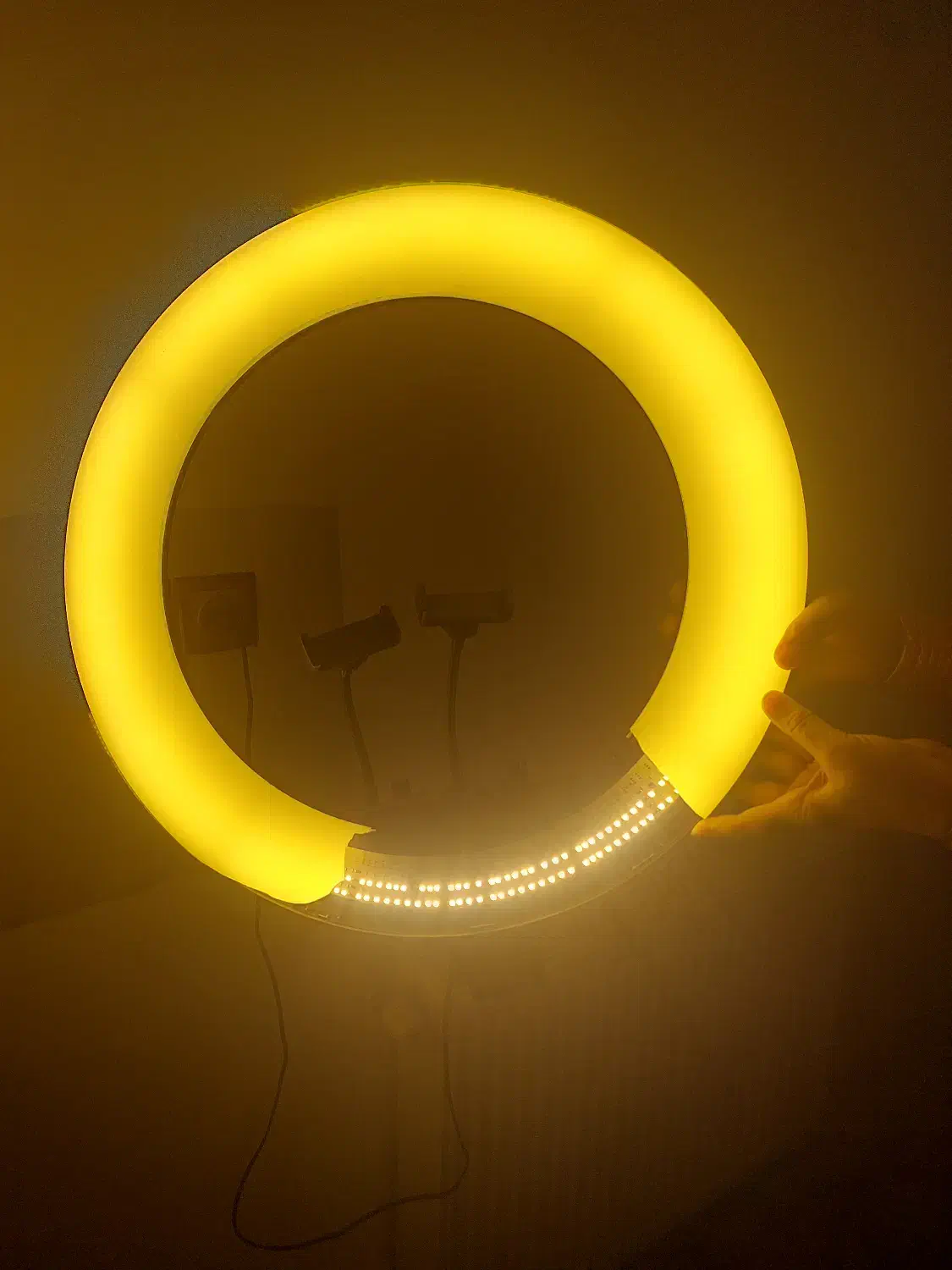 رینگلایت|دوربین عکاسی و فیلم‌برداری|کرمان, |دیوار