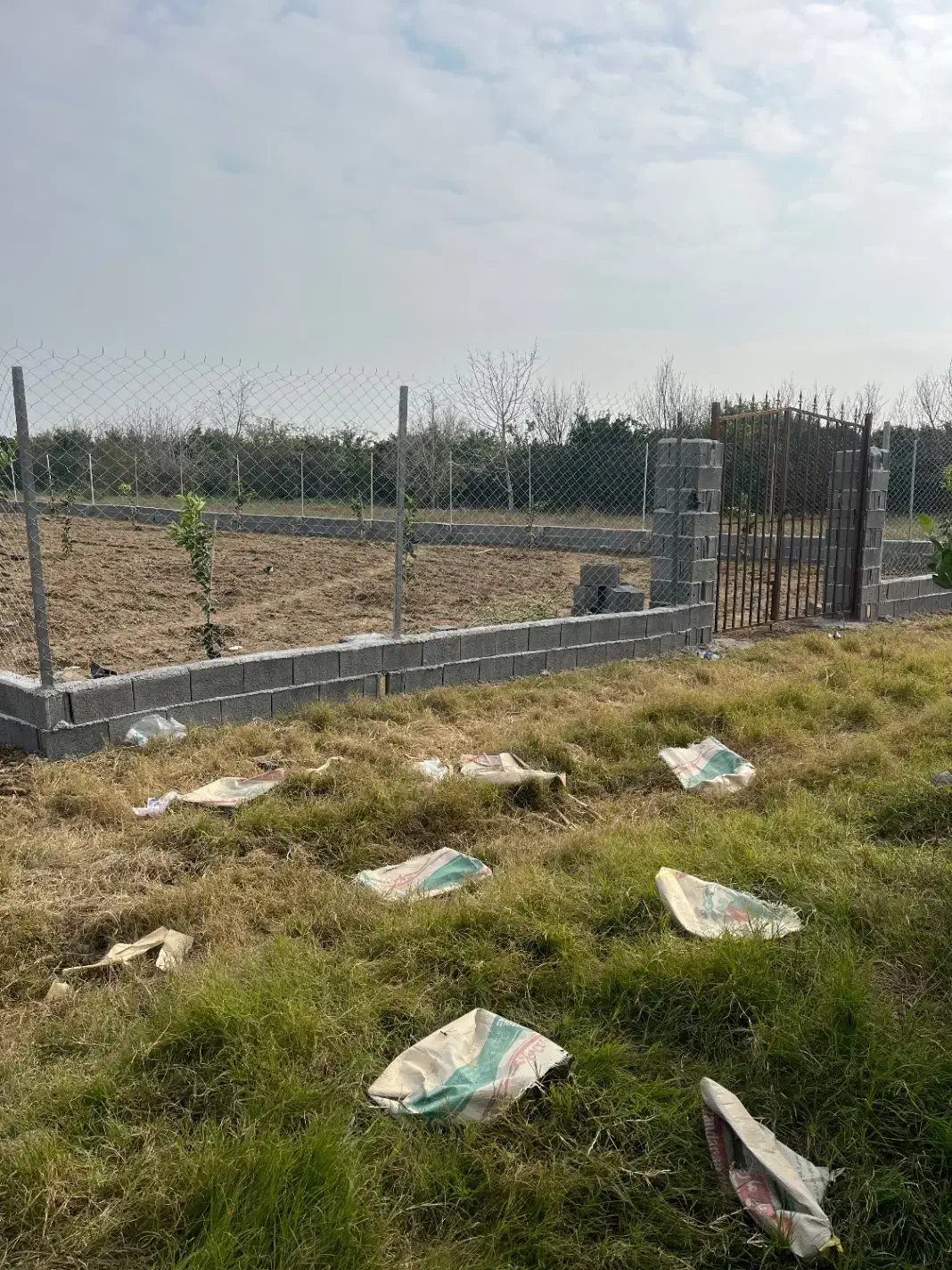 زمین باغی ۹۱۰متری|فروش زمین و ملک کلنگی|کیاکلا, |دیوار