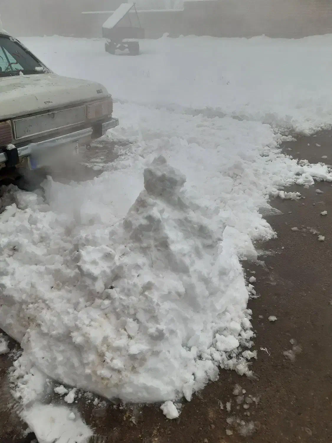 فروش پیکان مدل ۸۳ انژکتور|خودرو سواری و وانت|تفت, |دیوار