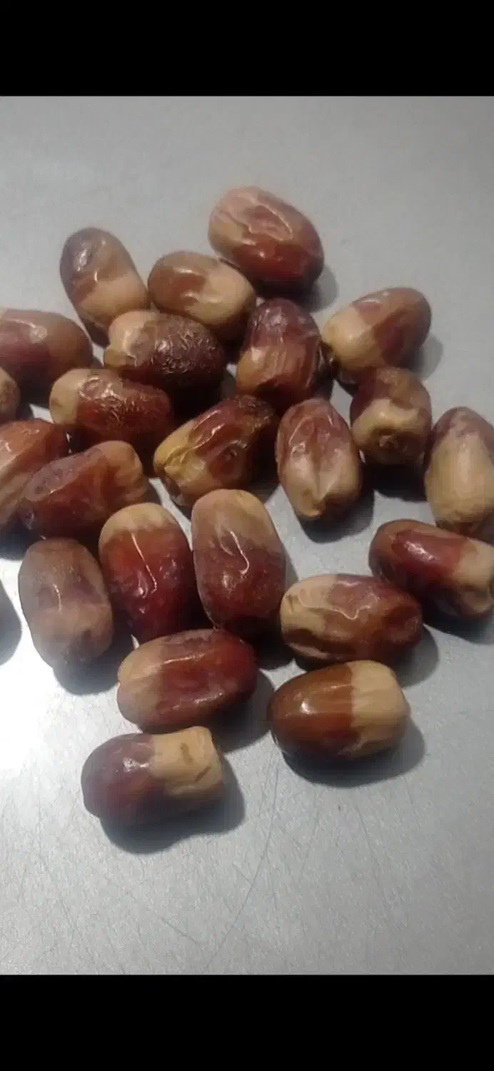 خرما درجه یک 2 تن|عمده‌فروشی|جالق, |دیوار