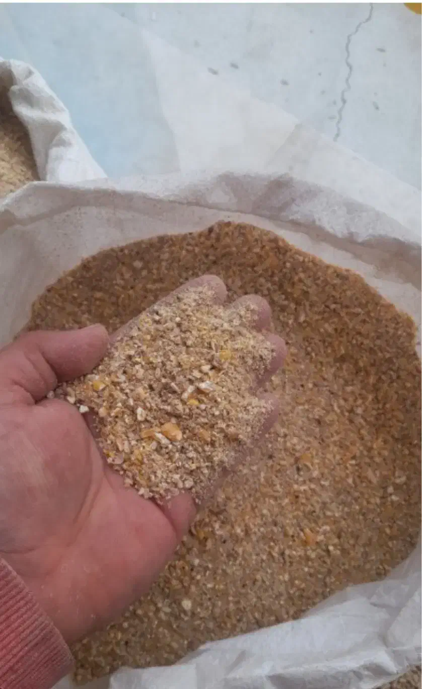 خوراک دام پودری برای شیری و گوشتی فوق درجه یک|حیوانات مزرعه|طسوج, |دیوار