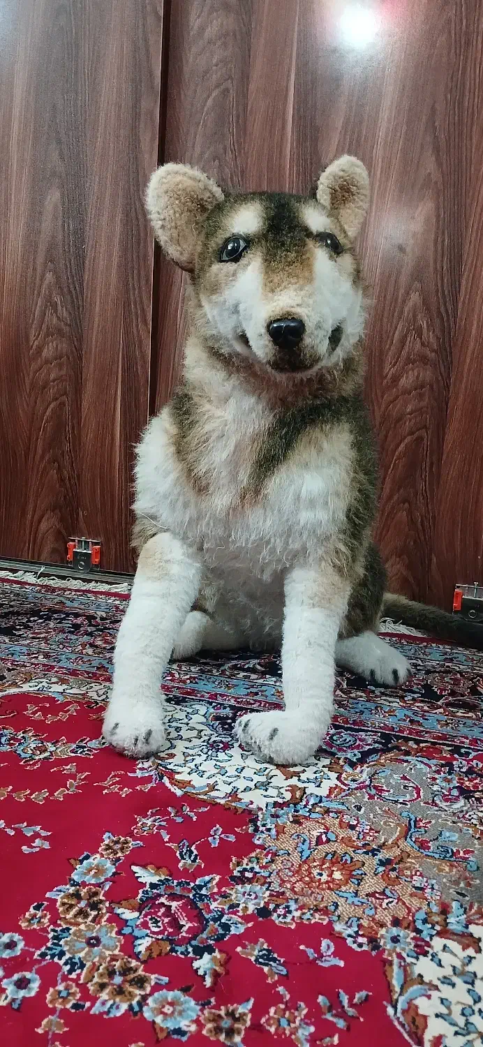 سگ اسباب بازی بزرگ|اسباب‌‌بازی|قم, باغ کرباسی|دیوار