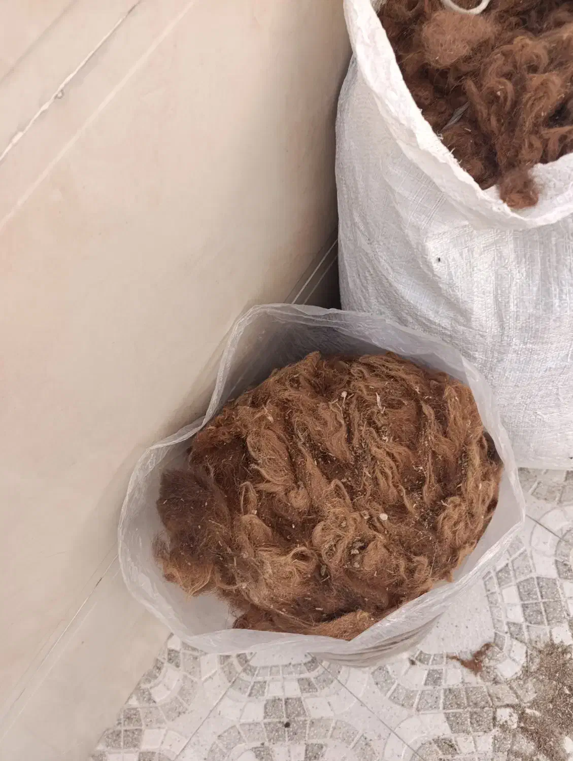 پشم|عمده‌فروشی|خورموج, |دیوار