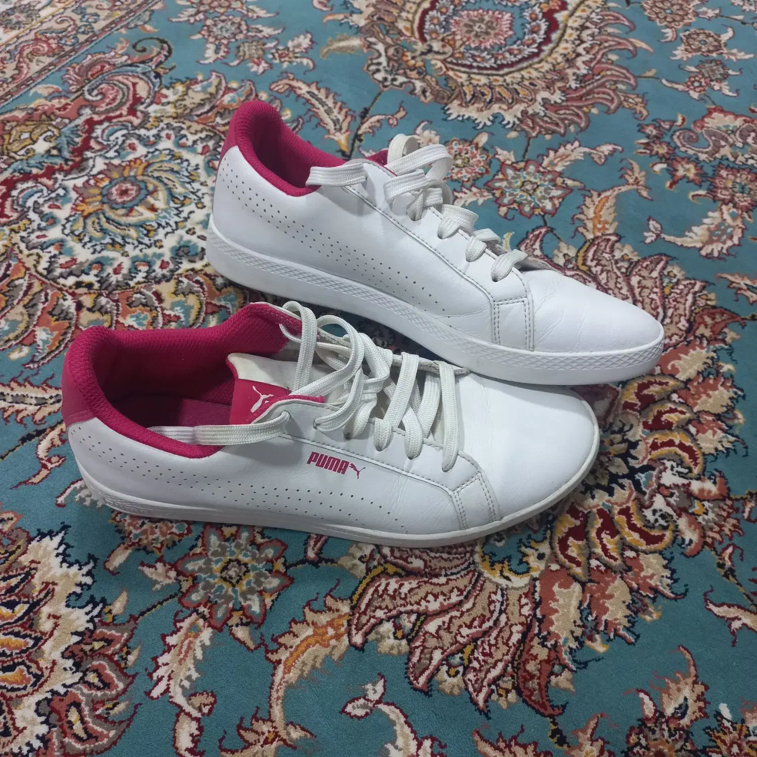 کفش/نایک/پوما/اوجینال|کیف، کفش، کمربند|سنندج, |دیوار