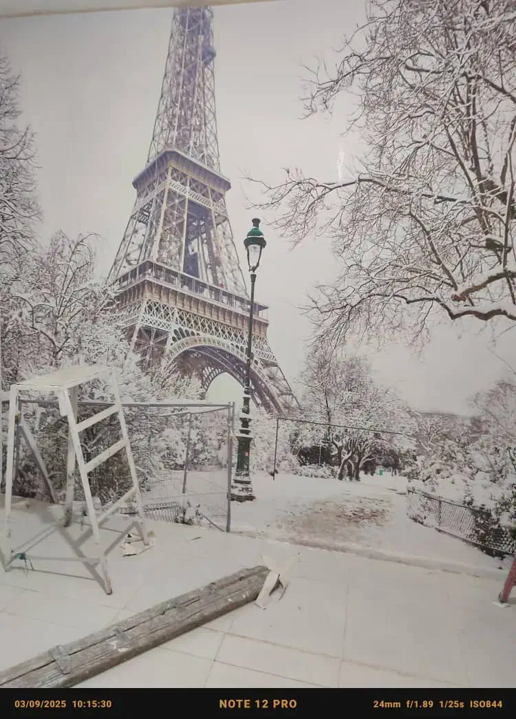 کاغذ دیواری .طراحی ساختمان|خدمات پیشه و مهارت|اندیمشک, |دیوار