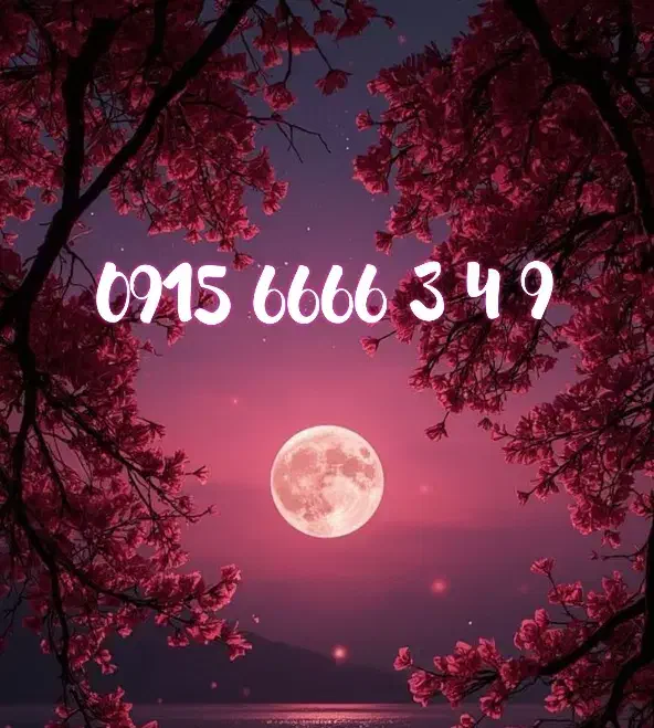 09156666349|سیم‌کارت|مشهد, شهید قربانی|دیوار