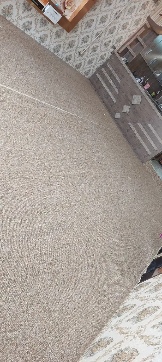 موکت و پالاز موکت|موکت|قائن, |دیوار