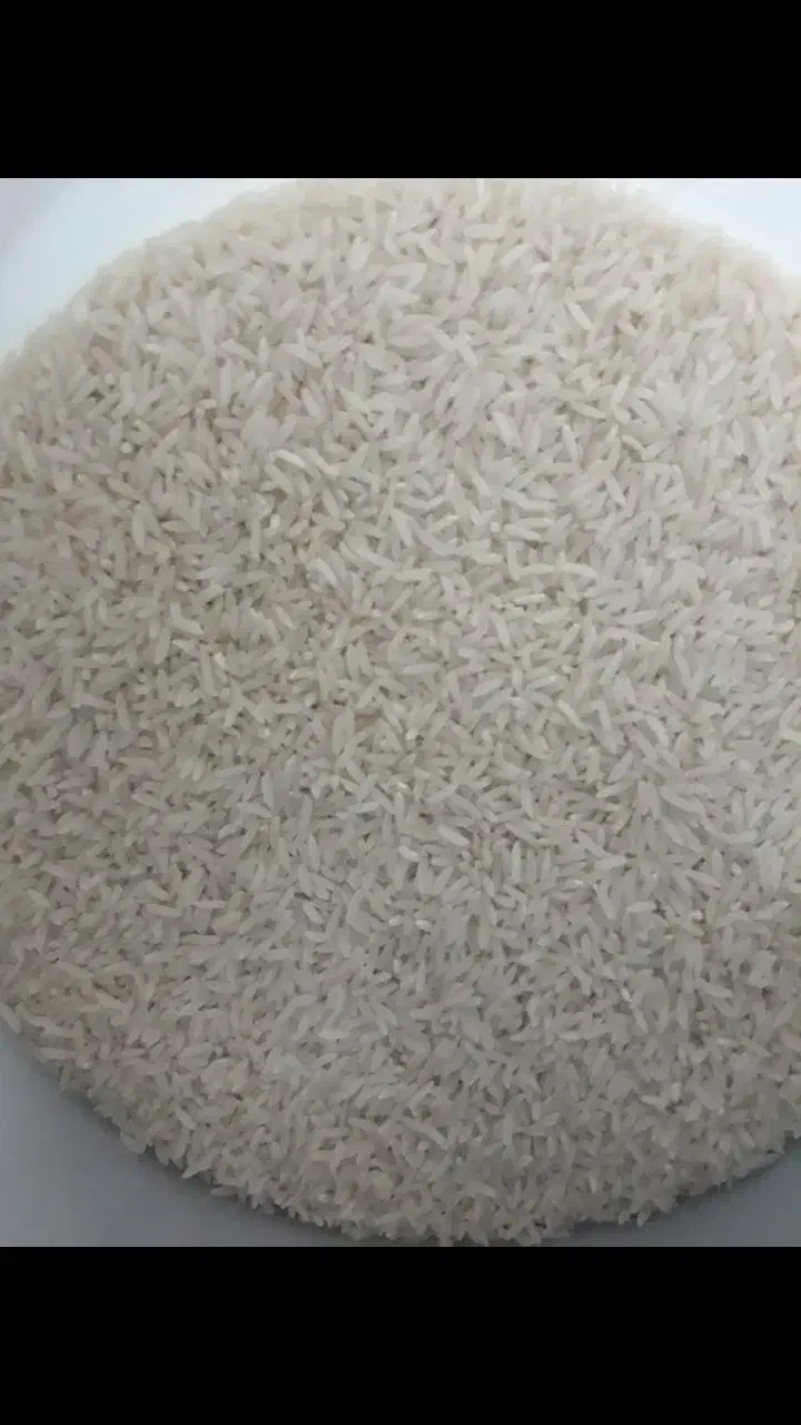 برنج طارم هاشمی|خوردنی و آشامیدنی|اصفهان, بوستان ناژوان|دیوار