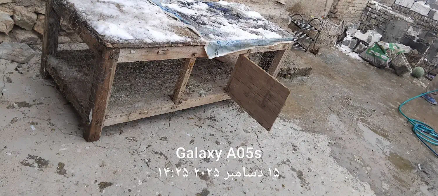 قفس چوبی|لوازم جانبی حیوانات|فارسان, |دیوار