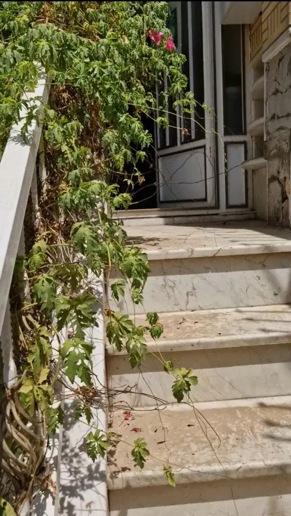 مطب.سالن زیبایی.مرکز مشاوره.دفتر مهندسی|اجارهٔ دفتر کار، اتاق اداری، مطب|قم, زنبیل آباد|دیوار