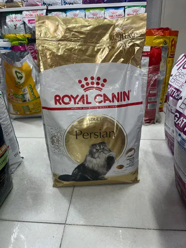 رویال کنین همه مدل roy|لوازم جانبی حیوانات|مشهد, گلبرگ|دیوار